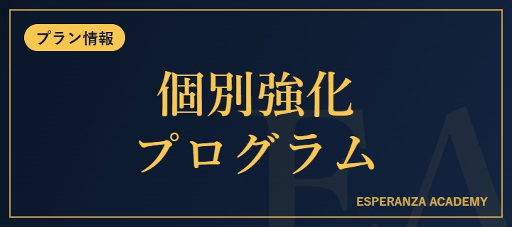 個別強化プログラム、始まります【在籍生徒さま限定】