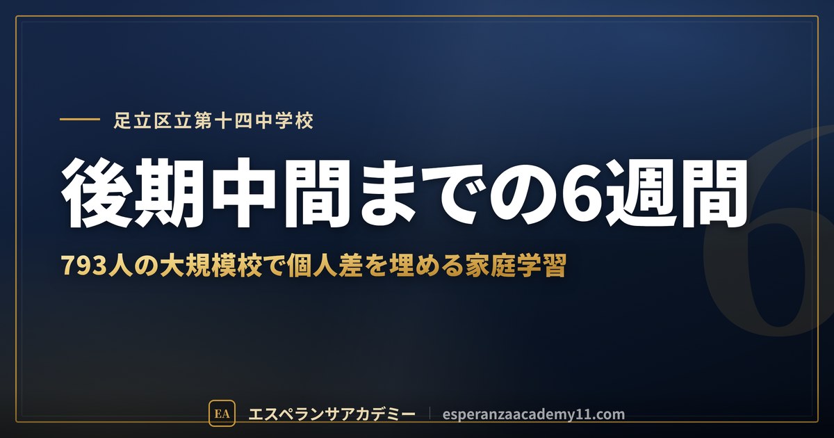 後期中間までの6週間